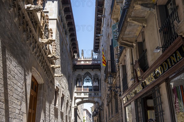 Artistic bridge between two buildings