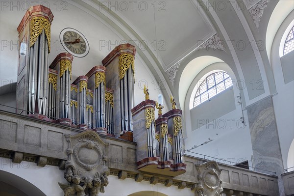 The organ