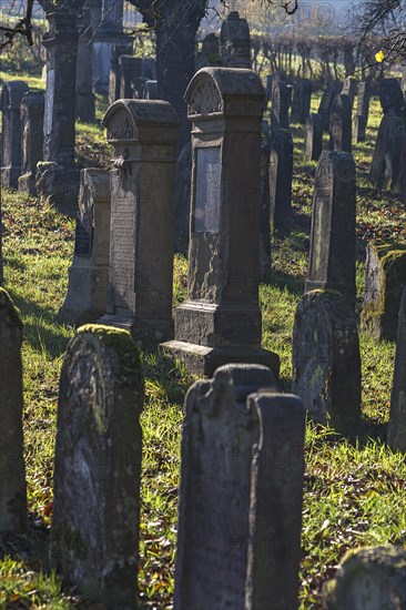 Historic Jewish cemetery