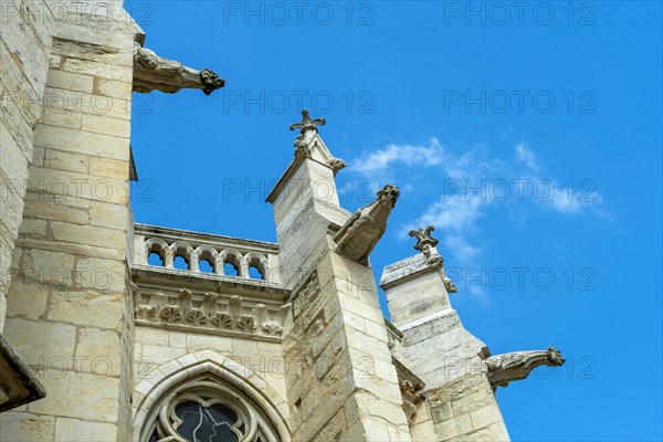 Nevers. Gargoyles of Cathedral Saint Cyr and Sainte-Julitte. Nievre department. Bourgogne Franche Comte. France