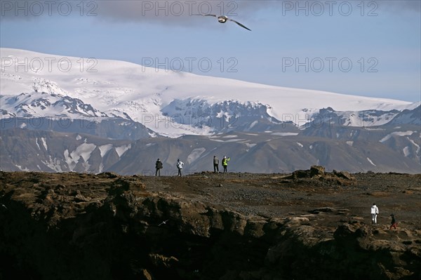 Small peninsula Dyrholaey on the south coast with view of the glacier Myrdalsjoekull