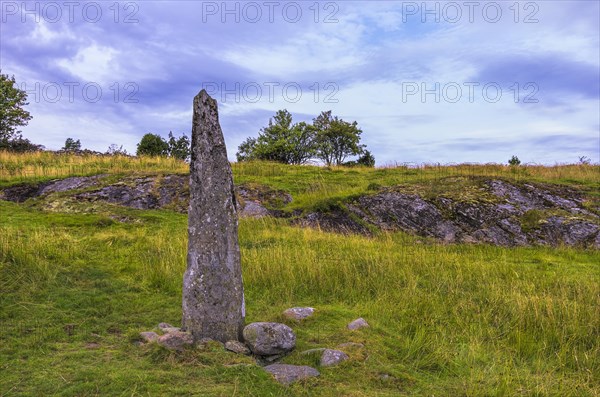 The rune stone from Hoga