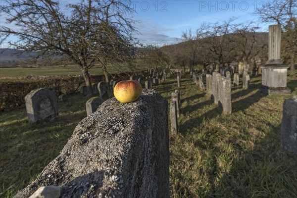 Historic Jewish cemetery