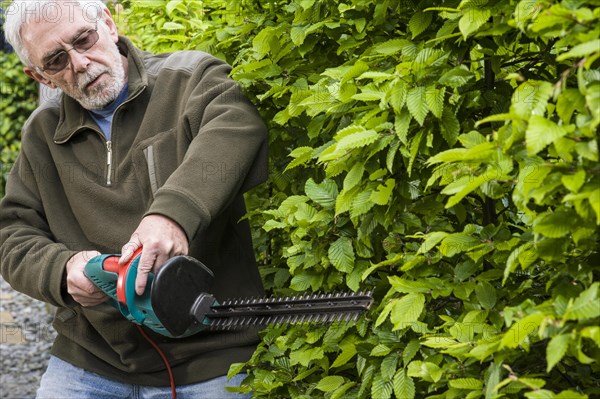 Senior man preparing a garden bed. Digging and turning over soil