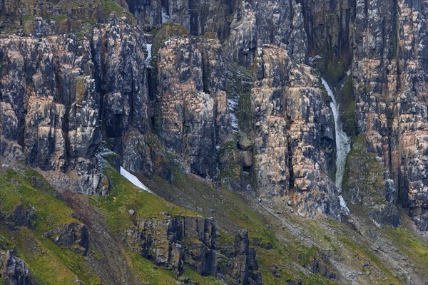 Seabird breeding colony in basalt cliff Alkefjellet