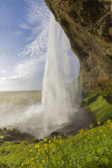 Seljalandsfoss waterfall