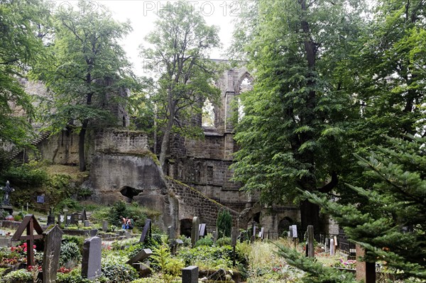 Castle ruins on Oybin Mountain