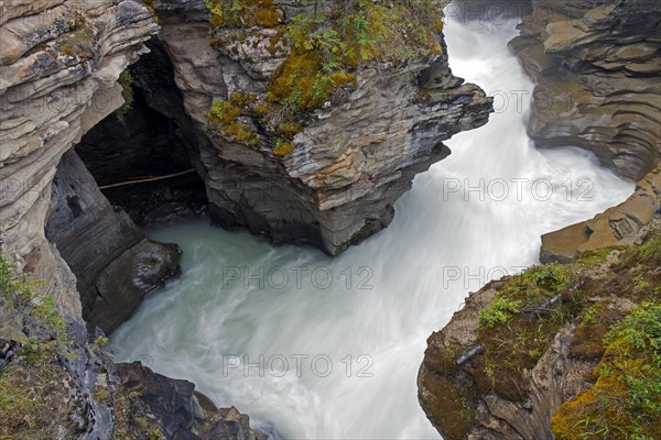 Athabasca Falls of the Athabasca river in the Jasper National Park