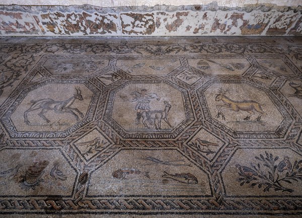Early Christian floor mosaics with animal motifs from the 4th century in the Romanesque basilica at Aquileia