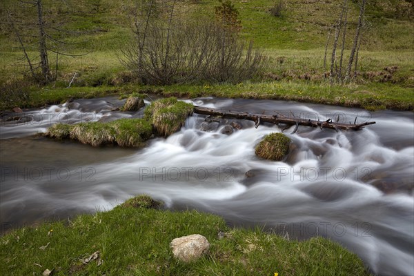 The Kremsbach in Schoenfeld