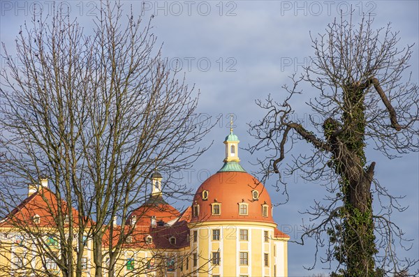 Impressions of Moritzburg Castle near Dresden