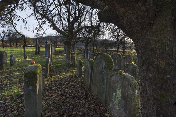 Historic Jewish cemetery