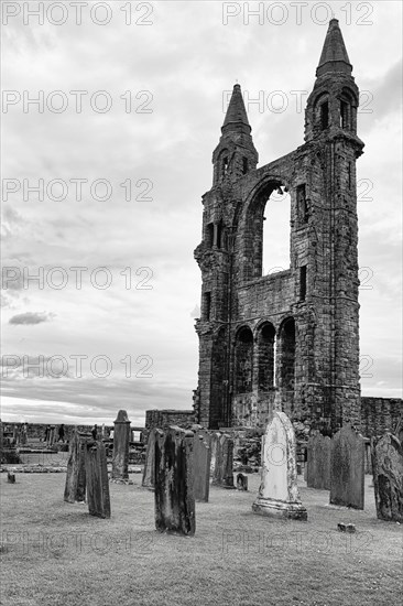 Cemetery