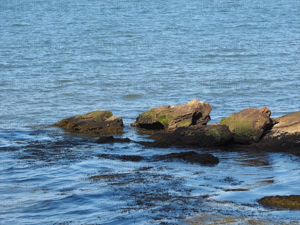 Firth of Forth in Edinburgh