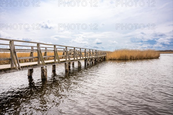 Footbridge on the lake with reeds