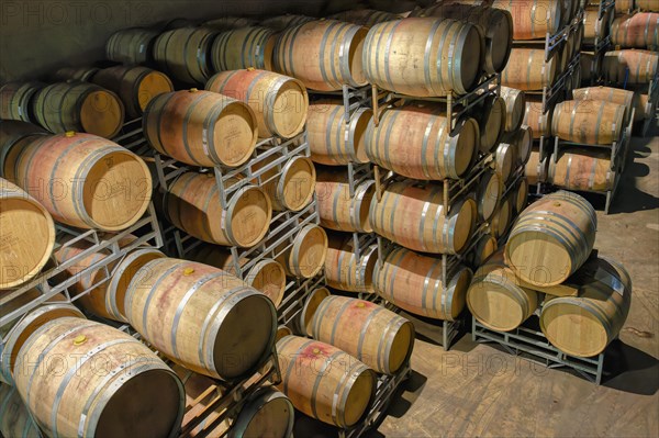 Barrels in the wine cellar