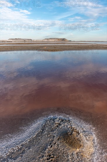 Salt farm in the village of Salin de Giraud near the mouth of the Grand Rhone. Regional nature park Park