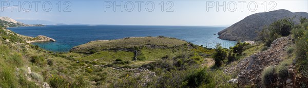 Rugged coastline