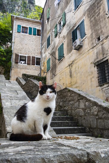 Historic squares and alleys