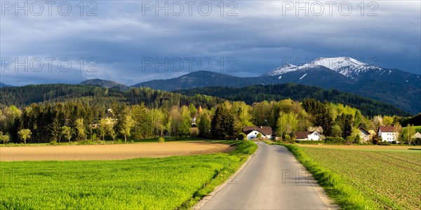 Road to the Thann castle ruins