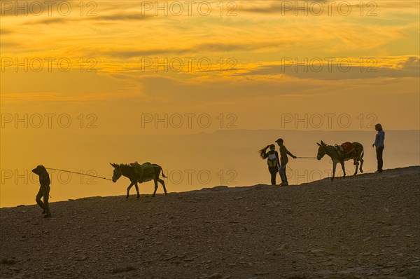 Caravan with donkey in twilight