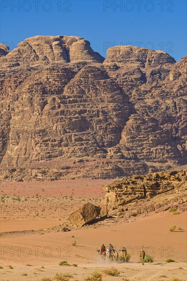 Bedouins with camels in desert