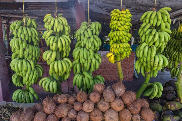 Fresh fruits in the Oasis of Salalah