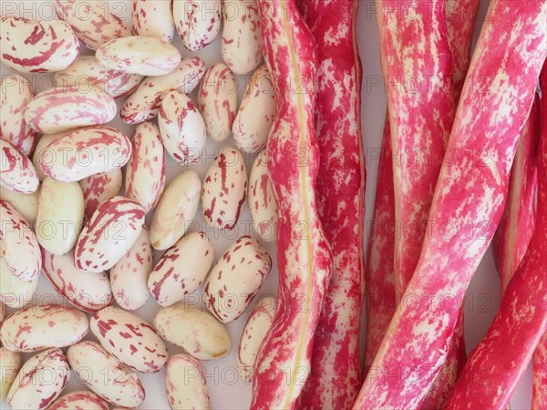 Crimson beans legumes vegetables food