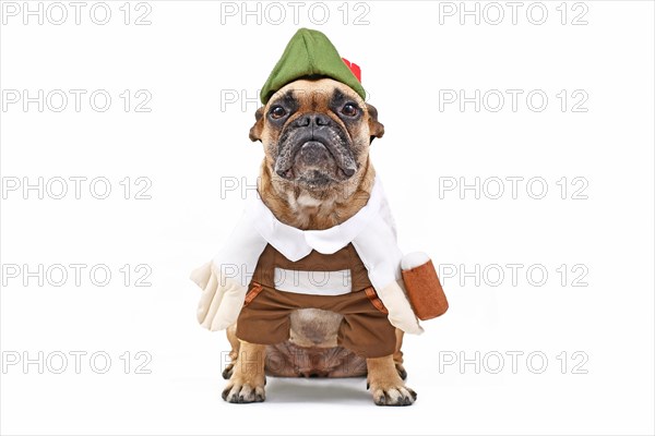 French Bulldog dog dressed up with funny traditional Bavarian 'Oktoberfest' costume with Lederhosen pants