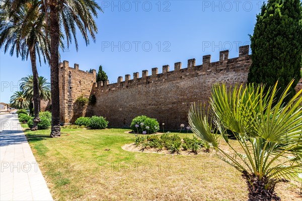 Street in the old town of Mallorca