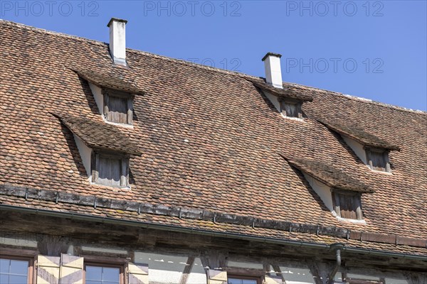 Tiled roof with dormers and chimneys