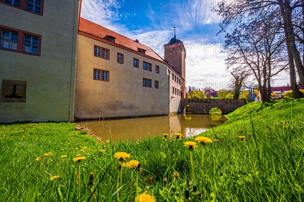The moated castle of Kapellendorf with moat and common dandelion