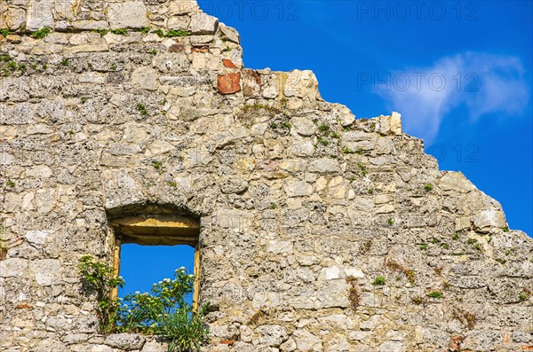 Single window overgrown with flowers in an old masonry