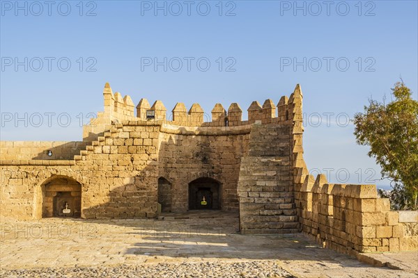 Great viw of the Alcazaba of Almeria