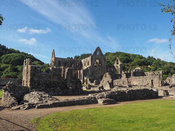 Tintern Abbey