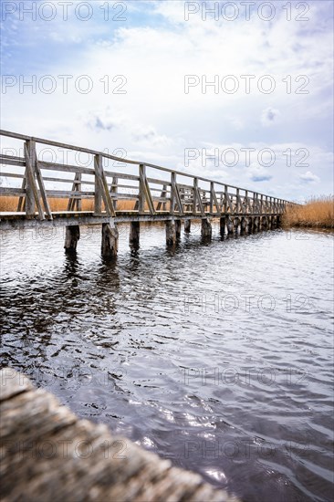 Footbridge on the lake with reeds