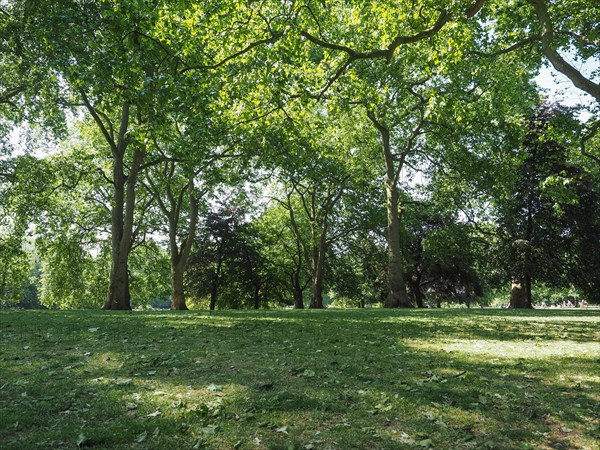 St James's Park in London