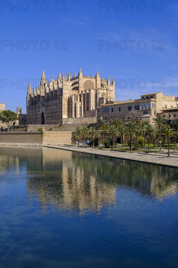 Palma Cathedral