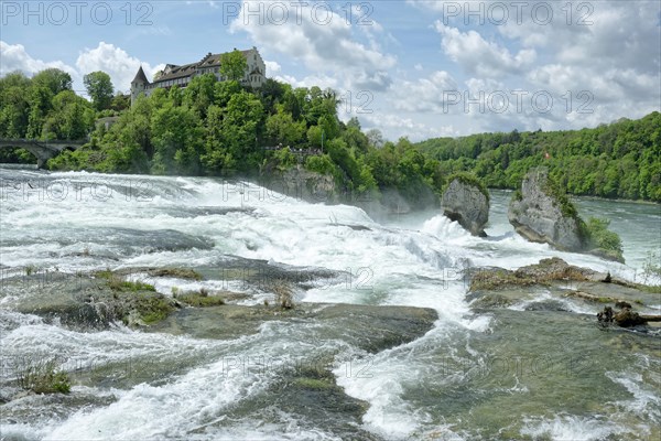 Rhine Falls near Schaffhausen