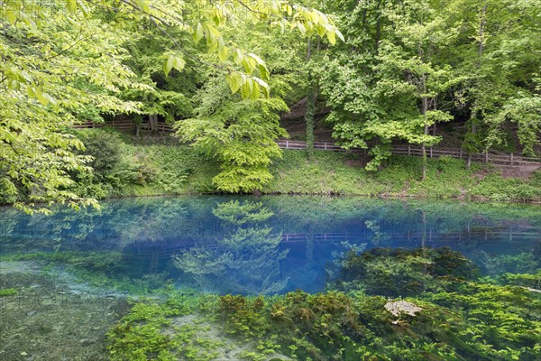 Blautopf