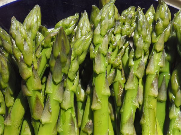 Asparagus vegetables food