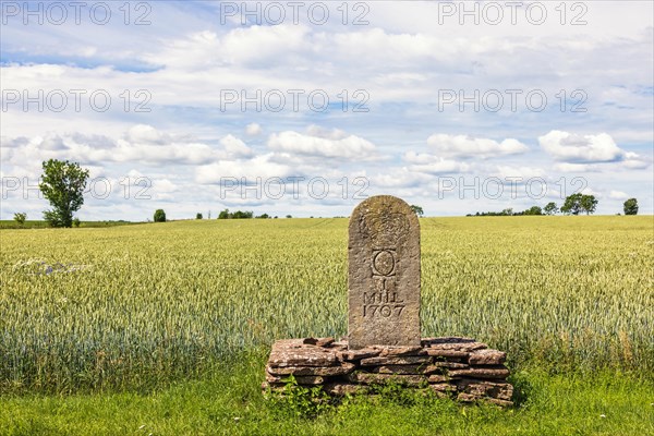 Milestone on the roadside by a field with crops