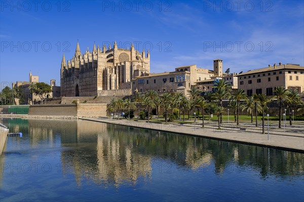 Palma Cathedral