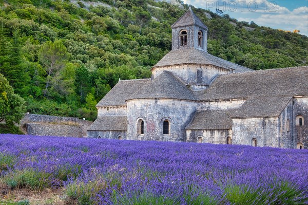 Cistercian Abbey Abbaye Notre-Dame de Senanque