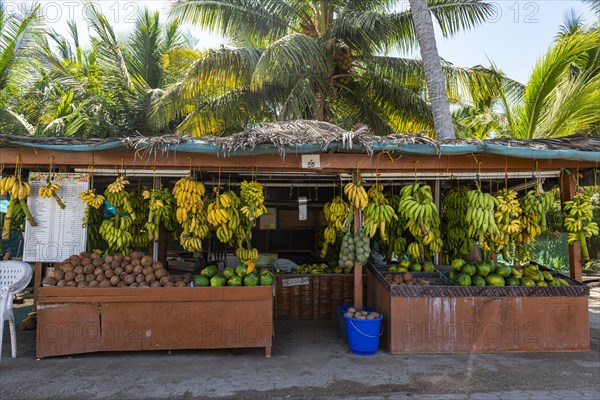 Fresh fruits in the Oasis of Salalah