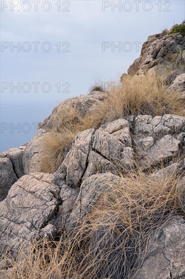 Cliffs of Maro-Cerro Gordo