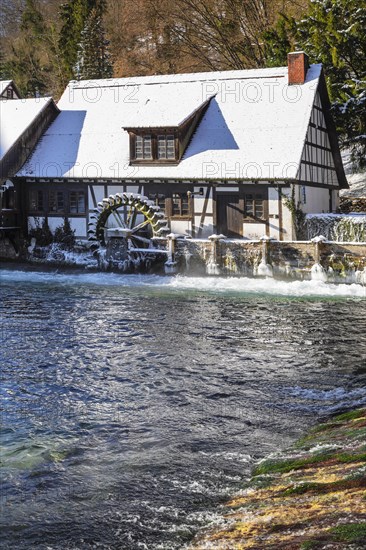 Mill at the Blautopf