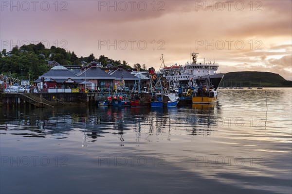 Boats in the harbour