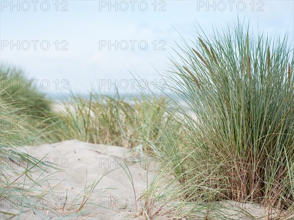 Summer day by the sea