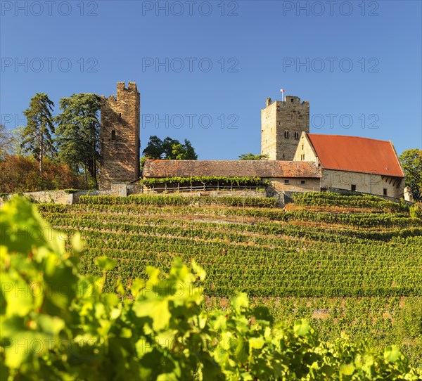 Neipperg Castle